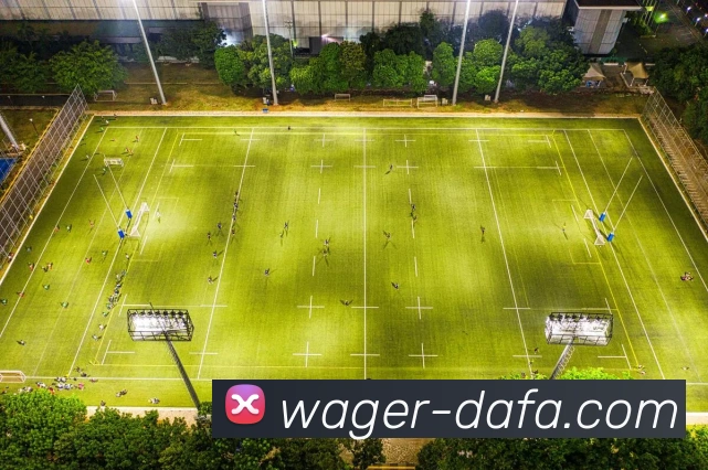 大发官网平台生态图